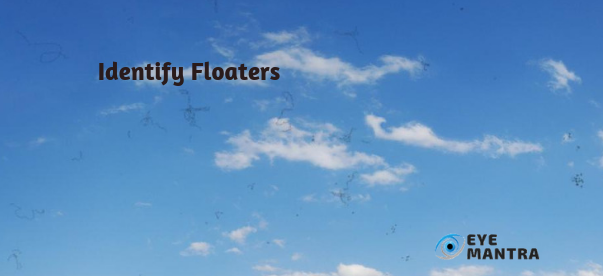 Floaters