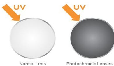 Photochromic Lenses