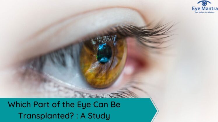 Which Part of the Eye Can Be Transplanted? : A Study