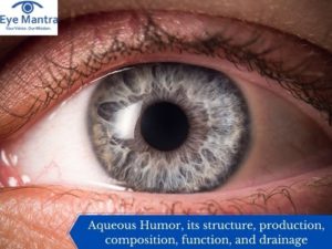 Aqueous Humor-structure, production, composition, function, and drainage
