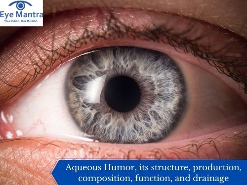 What Is The Function Of The Aqueous Humor In Your Eye