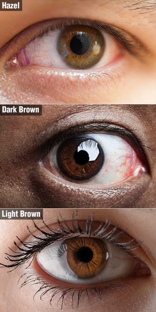 brown eyes shades
