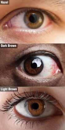 All About Brown Eyes