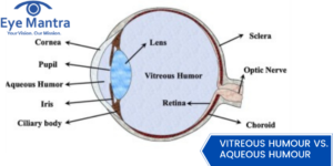 Vitreous humour: functions, changes, diseases, and treatments