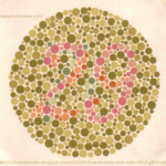 Farnsworth color blindness