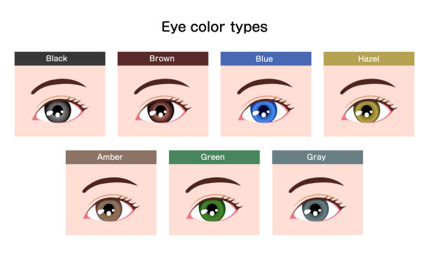 Heterochromia (Different-Colored Eyes): Causes and Types