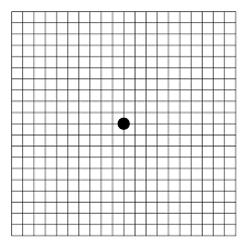 AMSLER grid test