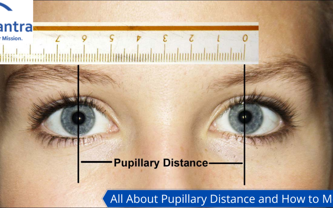 pupil measurement glasses