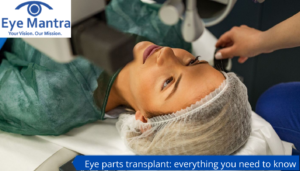 Eye parts transplant everything you need to know