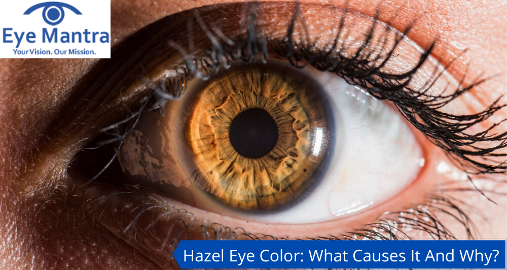 Change colour eyes hazel Best Colored