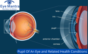 Pupil Of An Eye