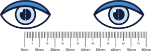 pupillary distance