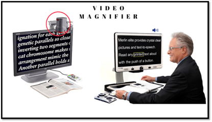 Video Magnifiers