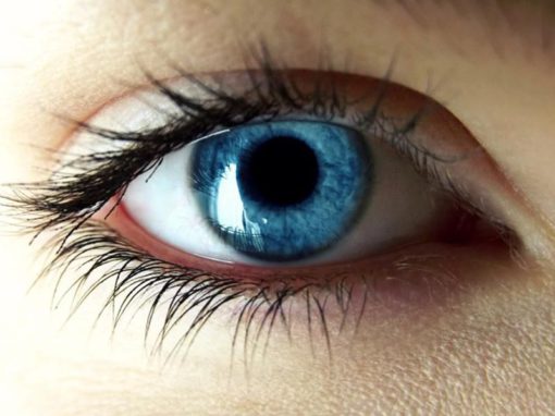 Pupil of Eye | Defination, Size of Eye And Conditions Affecting It