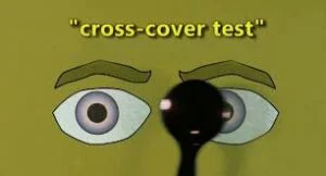 Cross cover test
